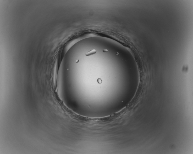 X0000114011253200910021333