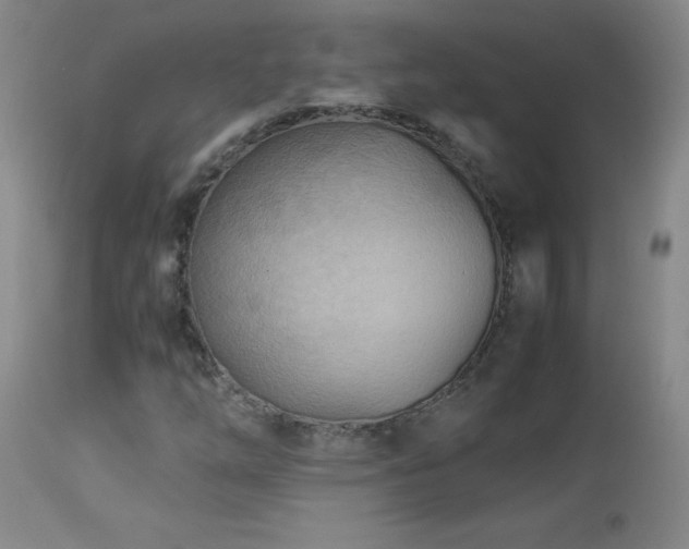 X0000114011254200910021333
