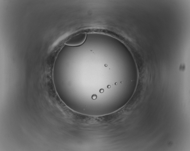 X0000114011255200910021333