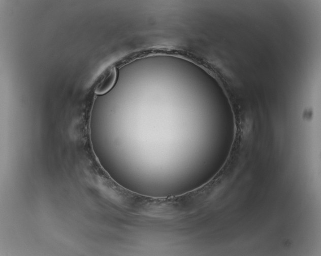 X0000114011256200910021333