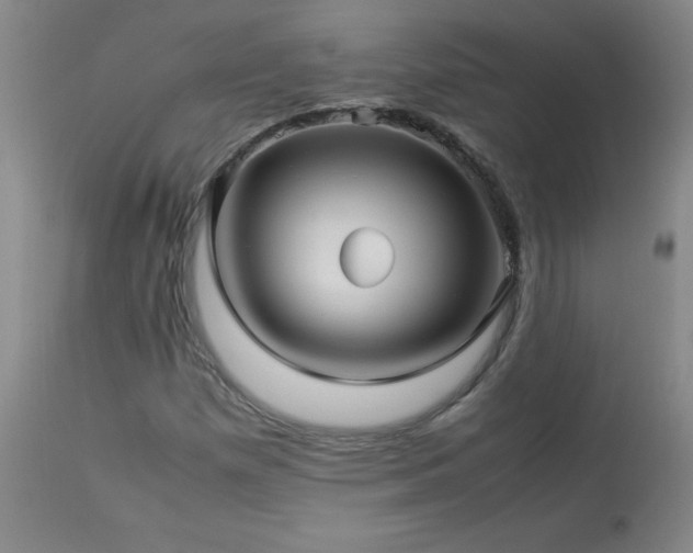 X0000114011257200910021333