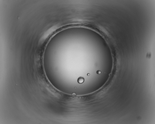 X0000114011259200910021333