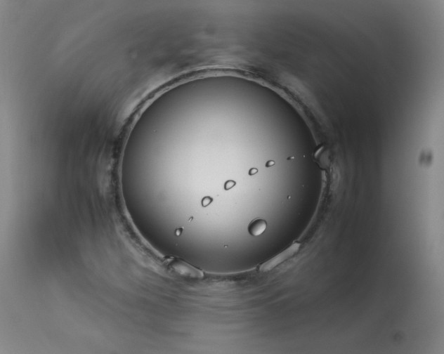X0000114011260200910021333