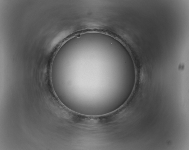 X0000114011261200910021333