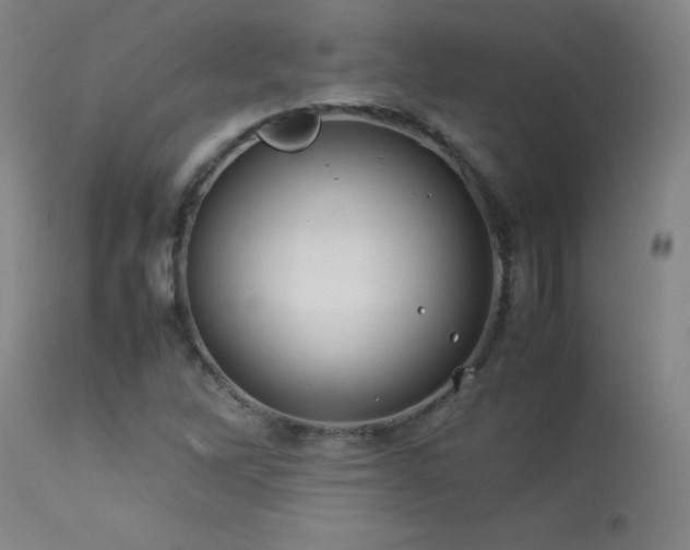 X0000114011262200910021333