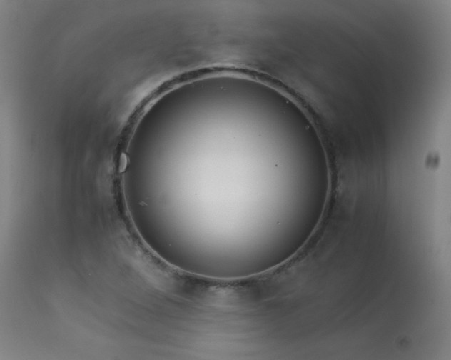 X0000114011264200910021333
