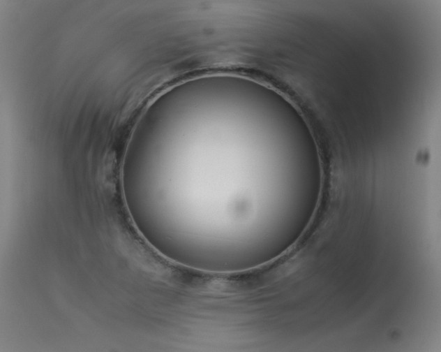 X0000114011265200910021333
