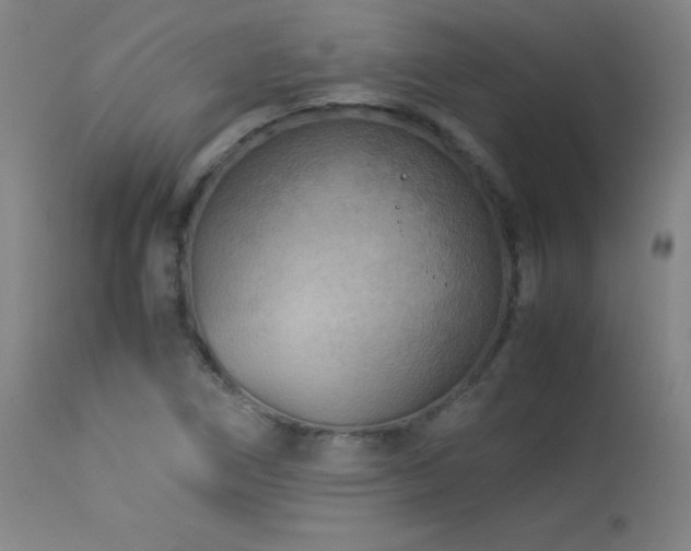 X0000114011266200910021333
