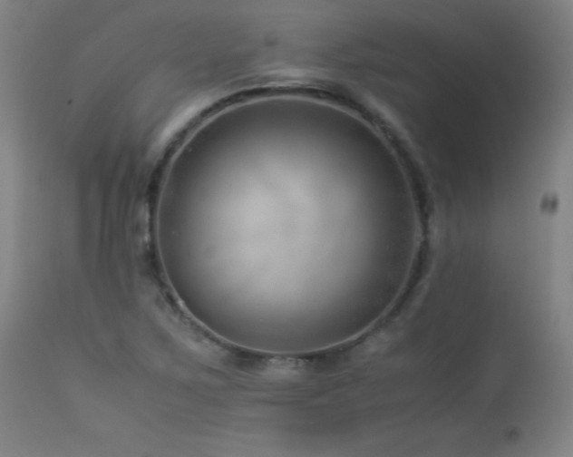 X0000114011267200910021333