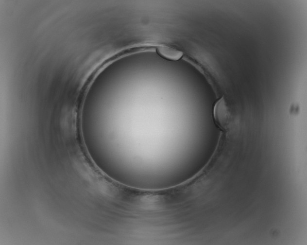 X0000114011268200910021333