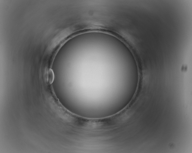 X0000114011269200910021333