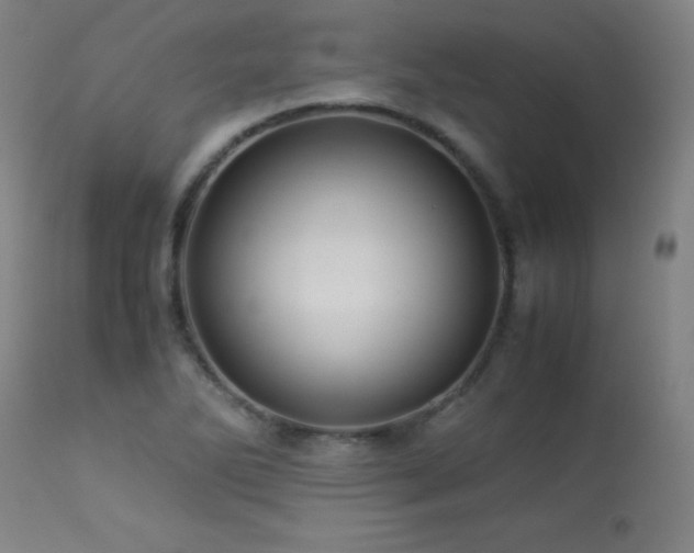 X0000114011270200910021333