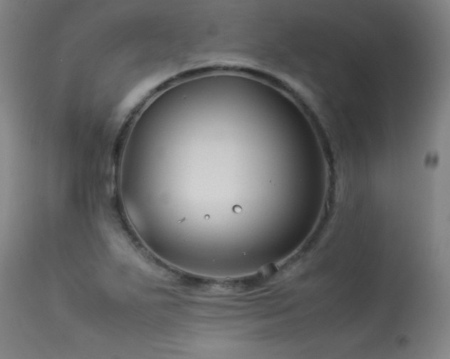 X0000114011271200910021332