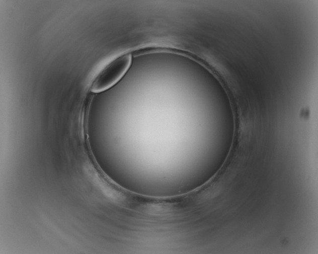 X0000114011272200910021332