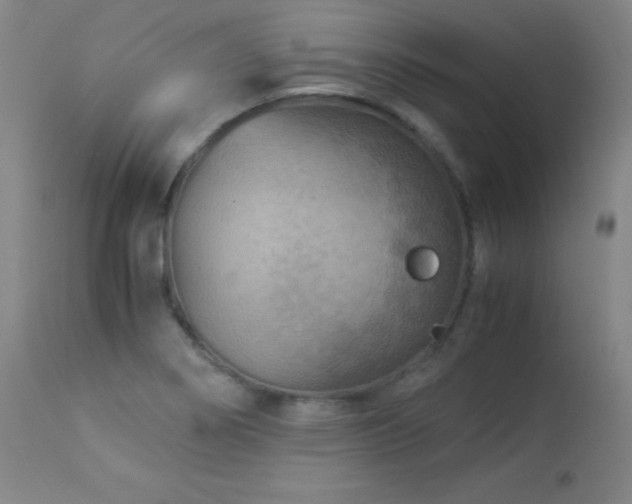 X0000114011274200910021332