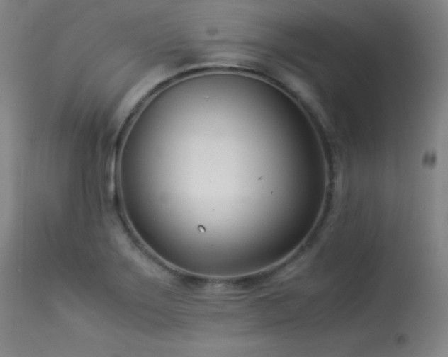 X0000114011275200910021332