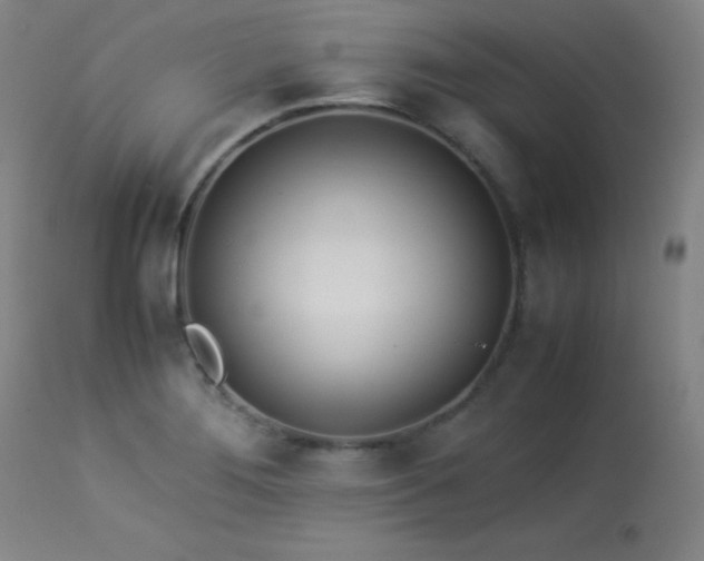 X0000114011276200910021332