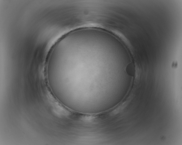 X0000114011278200910021332