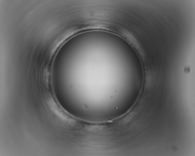 X0000114011284200910021332