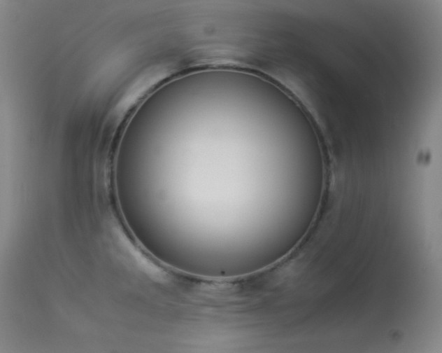 X0000114011285200910021332
