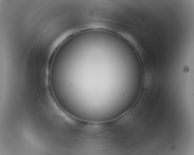 X0000114011286200910021332