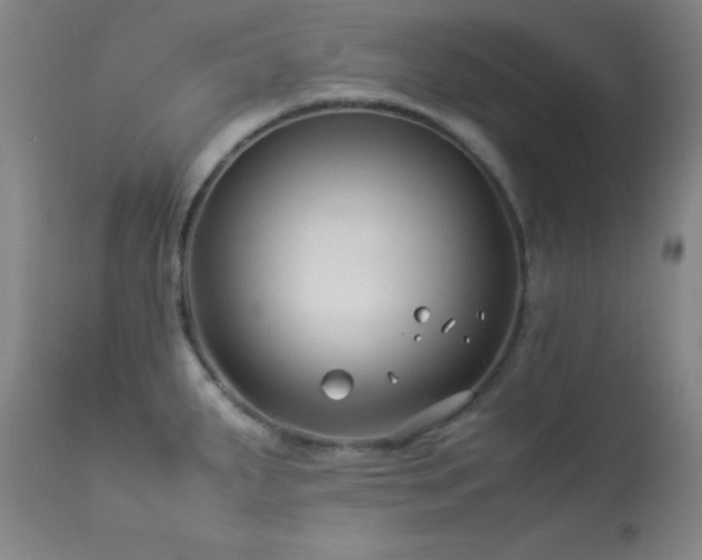 X0000114011287200910021332
