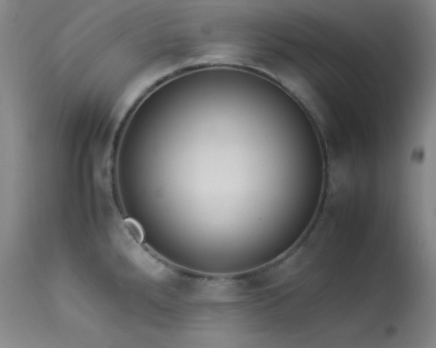 X0000114011288200910021332