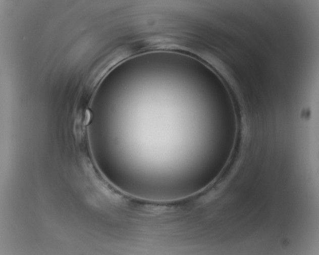 X0000114011289200910021332