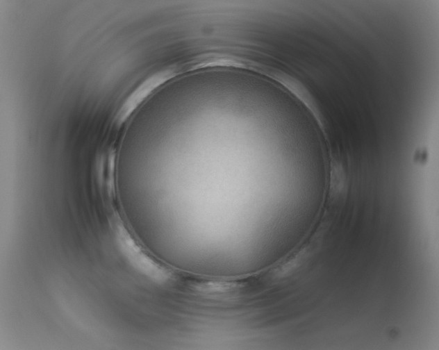 X0000114011290200910021332