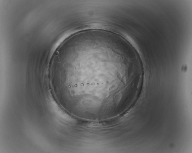 X0000114011291200910021332