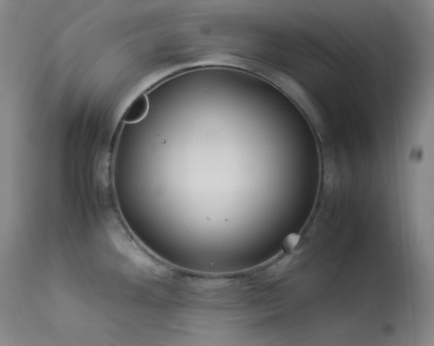 X0000114011292200910021332
