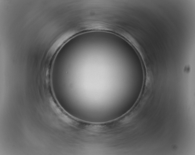 X0000114011293200910021332