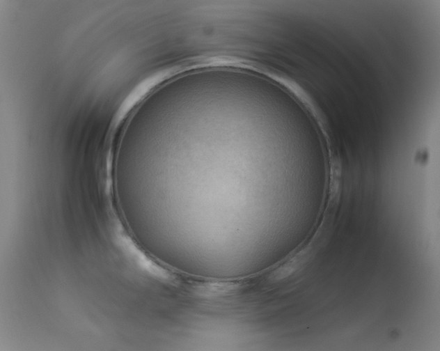 X0000114011294200910021332