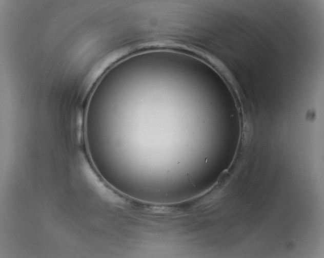 X0000114011295200910021332