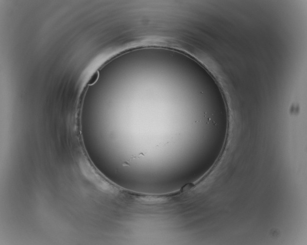 X0000114011296200910021332