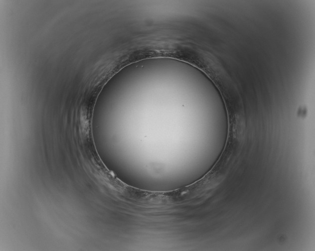 X0000114011298200910021331