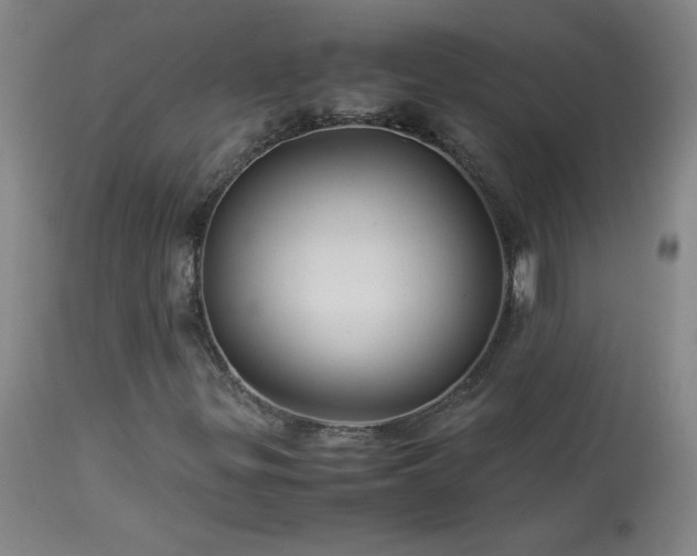 X0000114011299200910021331