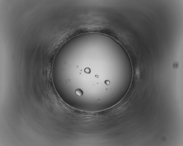 X0000114011300200910021331