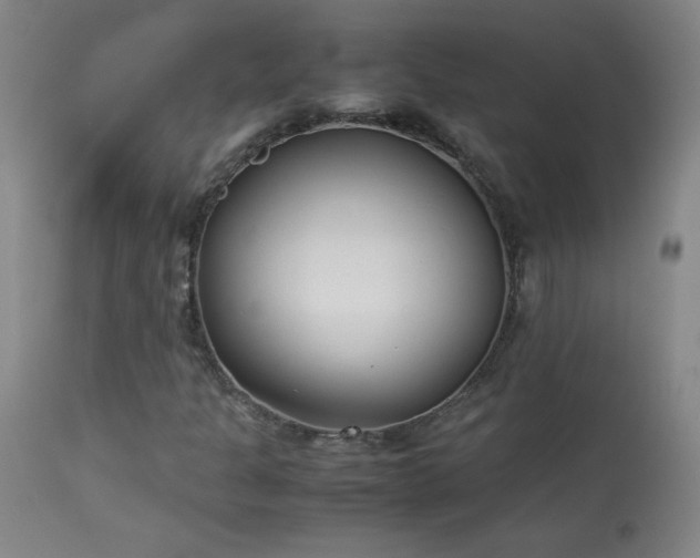 X0000114011301200910021331