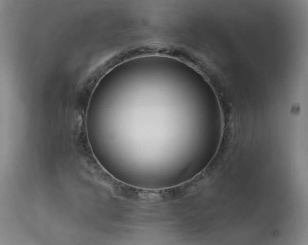 X0000114011302200910021331