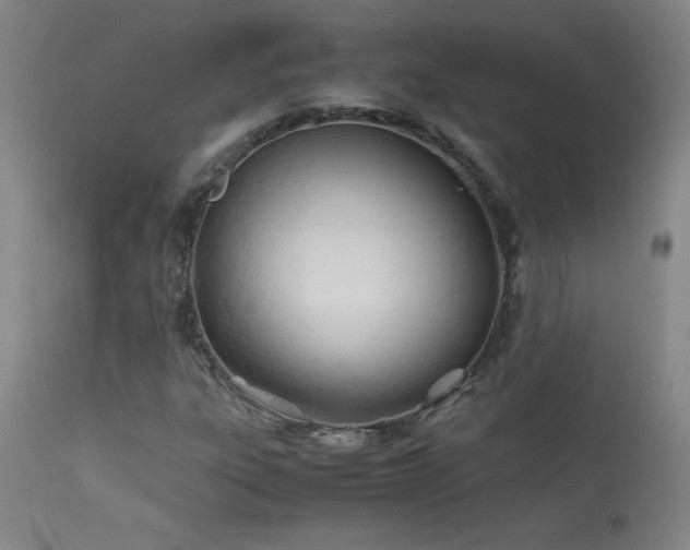 X0000114011303200910021331