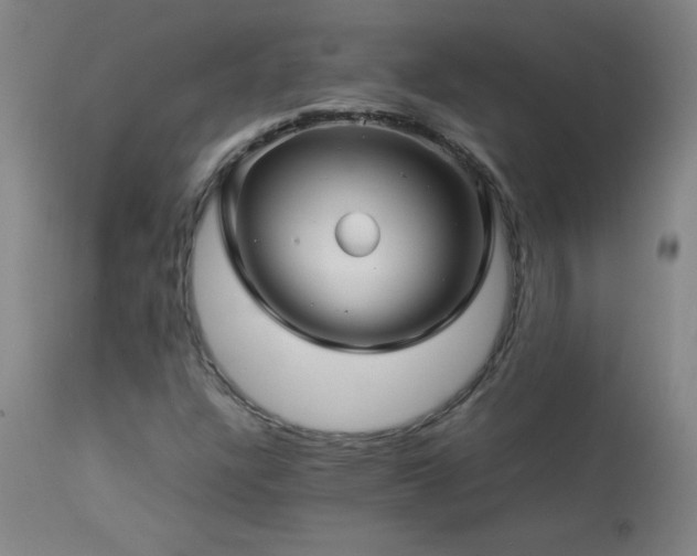 X0000114011304200910021331