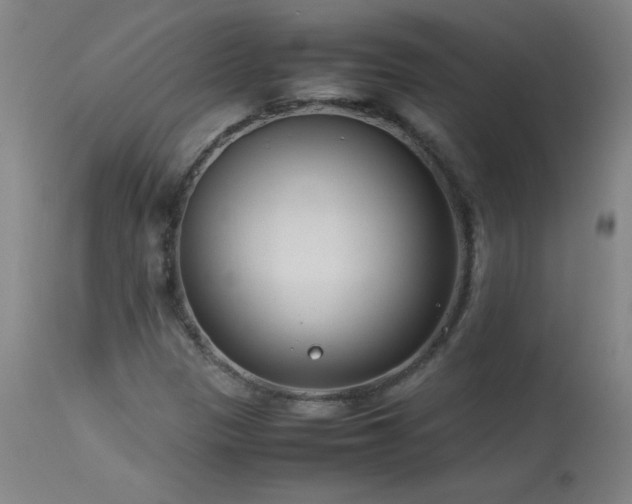 X0000114011305200910021331