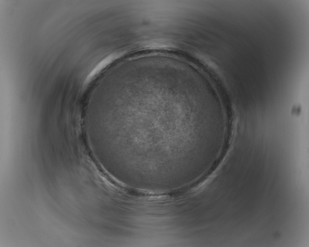 X0000114011306200910021331