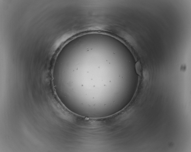 X0000114011308200910021331