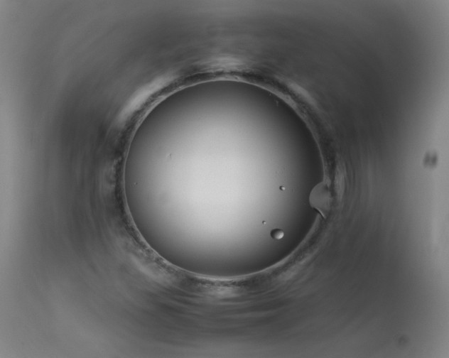 X0000114011309200910021331