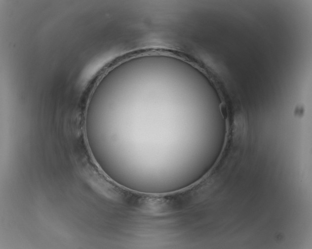X0000114011310200910021331