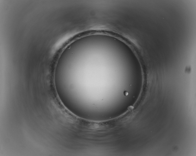 X0000114011311200910021332