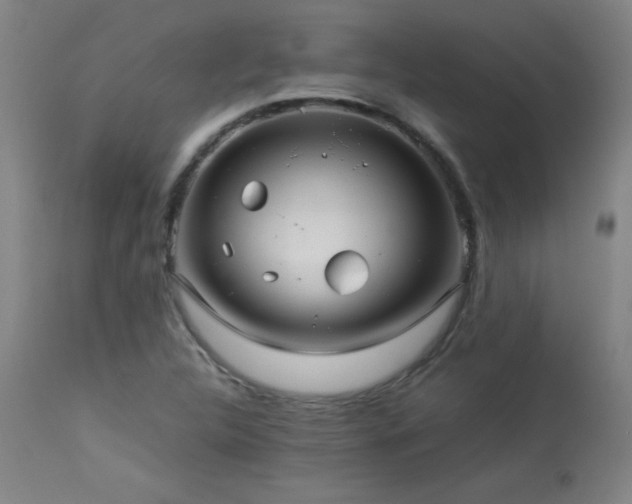 X0000114011312200910021332