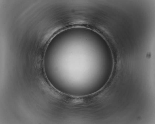 X0000114011313200910021332